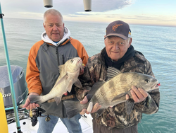 Key Largo: A Sheepshead paradise!
